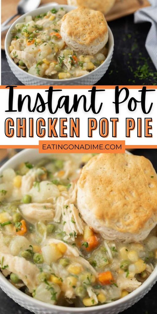 Instant Pot Chicken Pot Pie Recipe (and VIDEO!) - Eating on a Dime