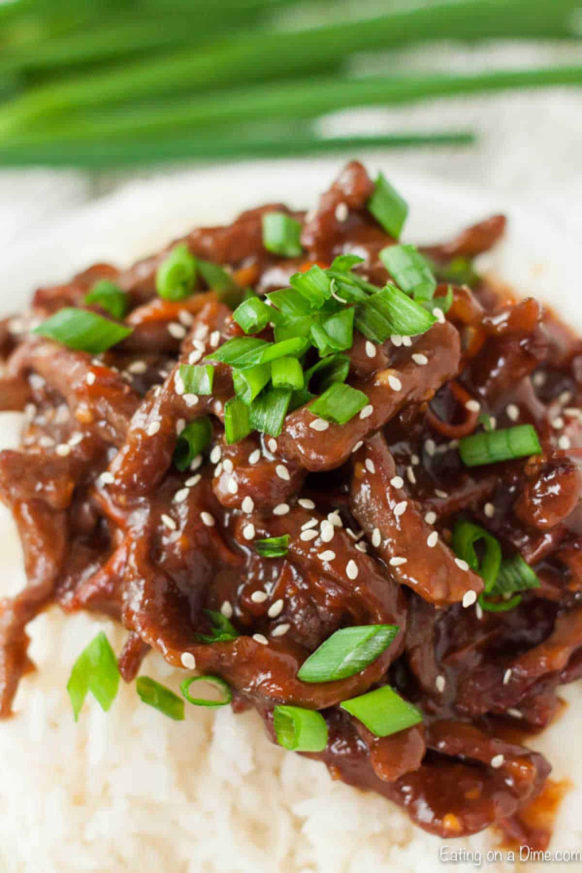 A plate of beef stir fry, reminiscent of slow cooker Mongolian beef, is garnished with sliced green onions and sesame seeds atop a bed of white rice. Green onion stalks are blurred in the background.