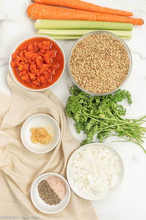 Ingredients for recipe: carrots, celery, tomatoes, lentils, seasoning. 