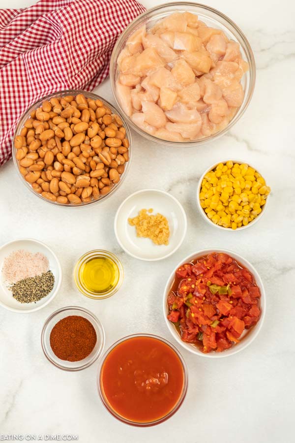 Ingredients to make this Tex Mex Chicken Chili Recipe, Chicken, Beans, Corn, Tomatoes, Garlic, tomato sauce, olive oil, chili powder and salt and pepper 