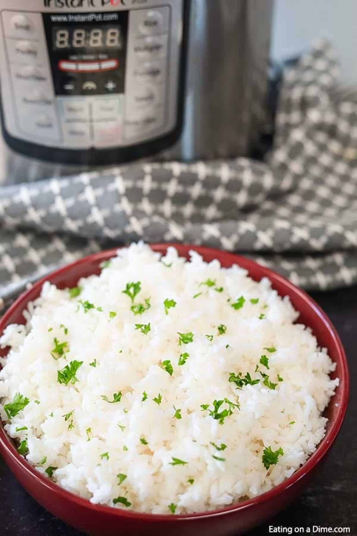 Close up image of a bowl of white rice. 