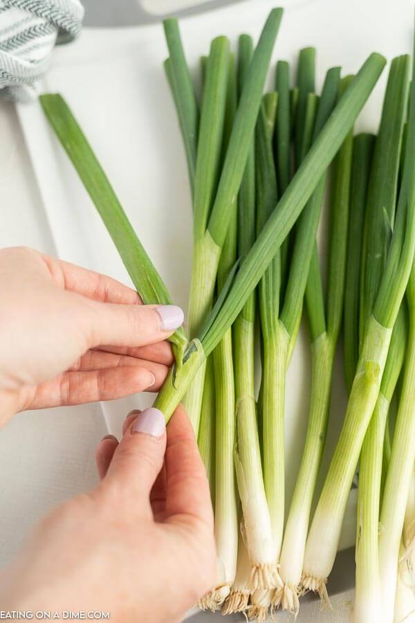 How to Cut Green Onions - Eating on a Dime