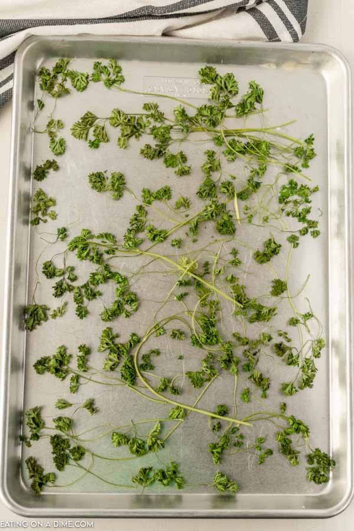 Dried parsley on a baking sheet. 