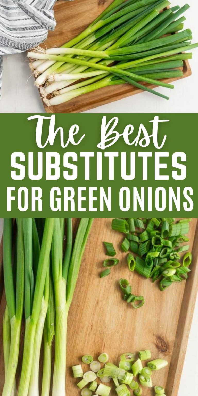 The Best Green Onion Substitutes - Eating on a Dime