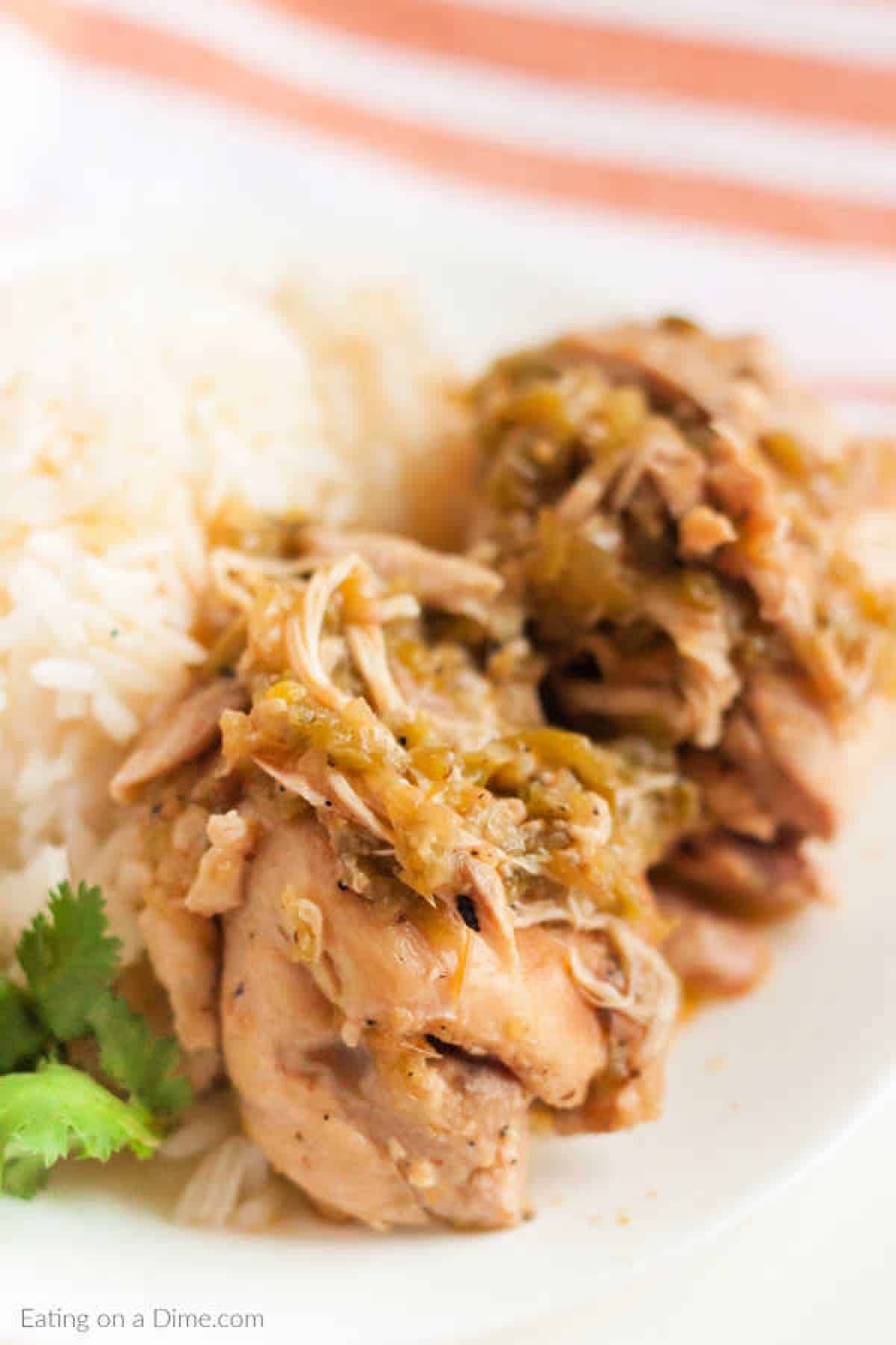 Close up image of salsa verde on a white plate with a side of rice. 