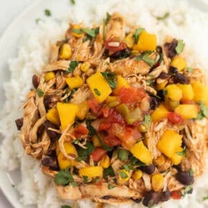 A plate of white rice topped with crock pot mango salsa chicken, featuring shredded chicken, juicy mango chunks, black beans, corn, diced tomatoes, all garnished with fresh cilantro.