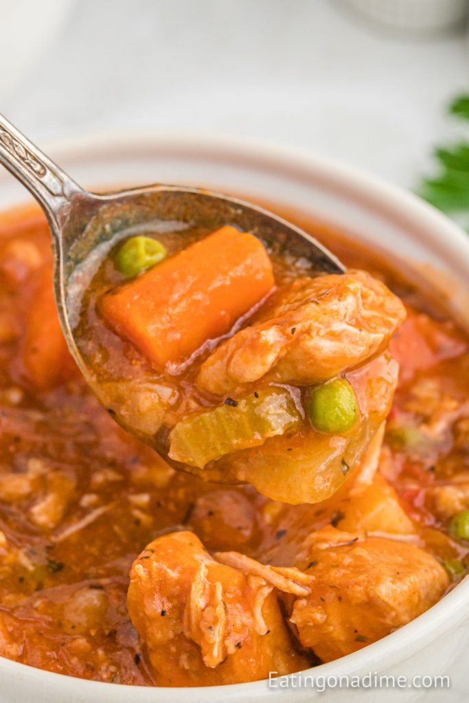 Slow Cooker Pork Stew Recipe - Eating on a Dime