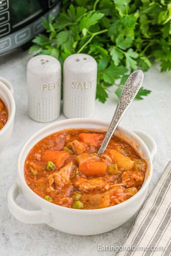 Slow Cooker Pork Stew Recipe Eating on a Dime