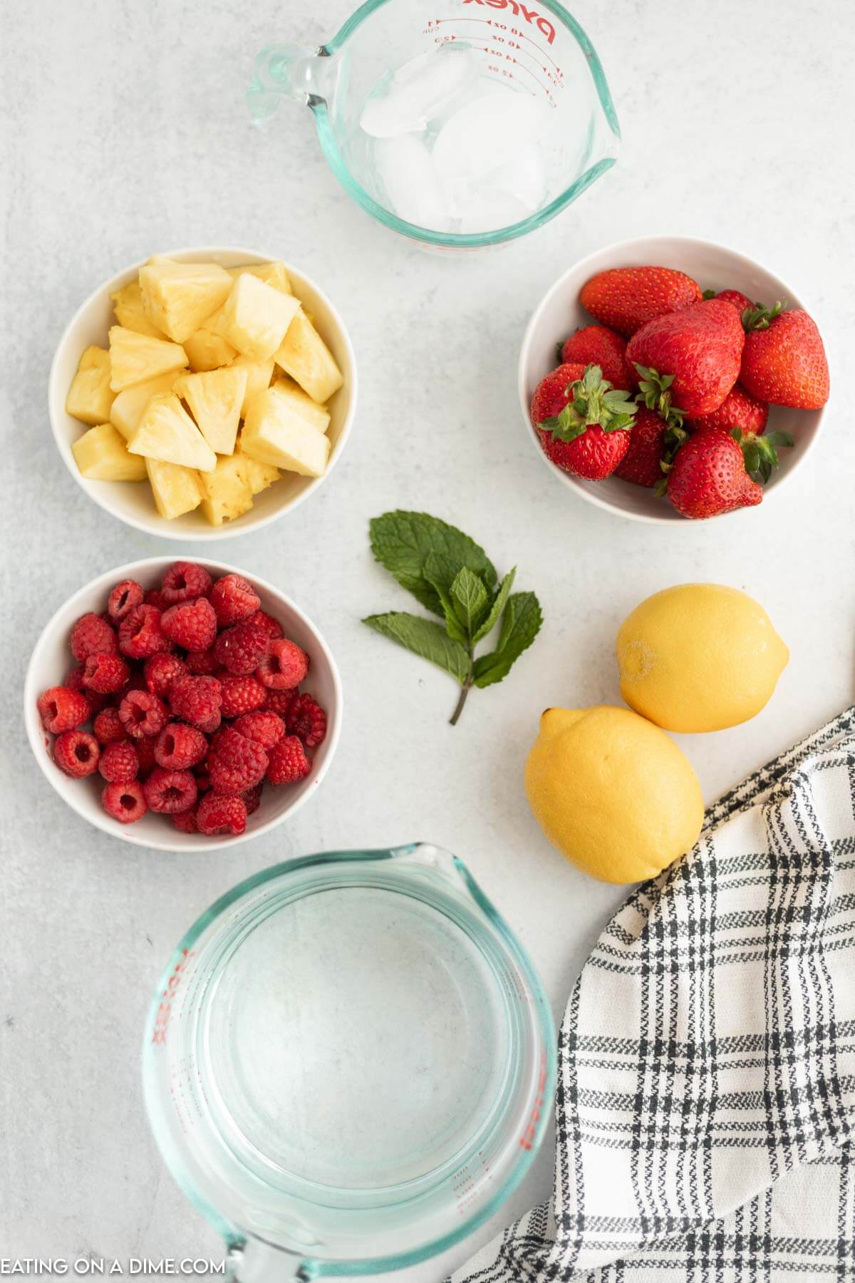 Best Fruit Infused Water Recipes • Veggie Society