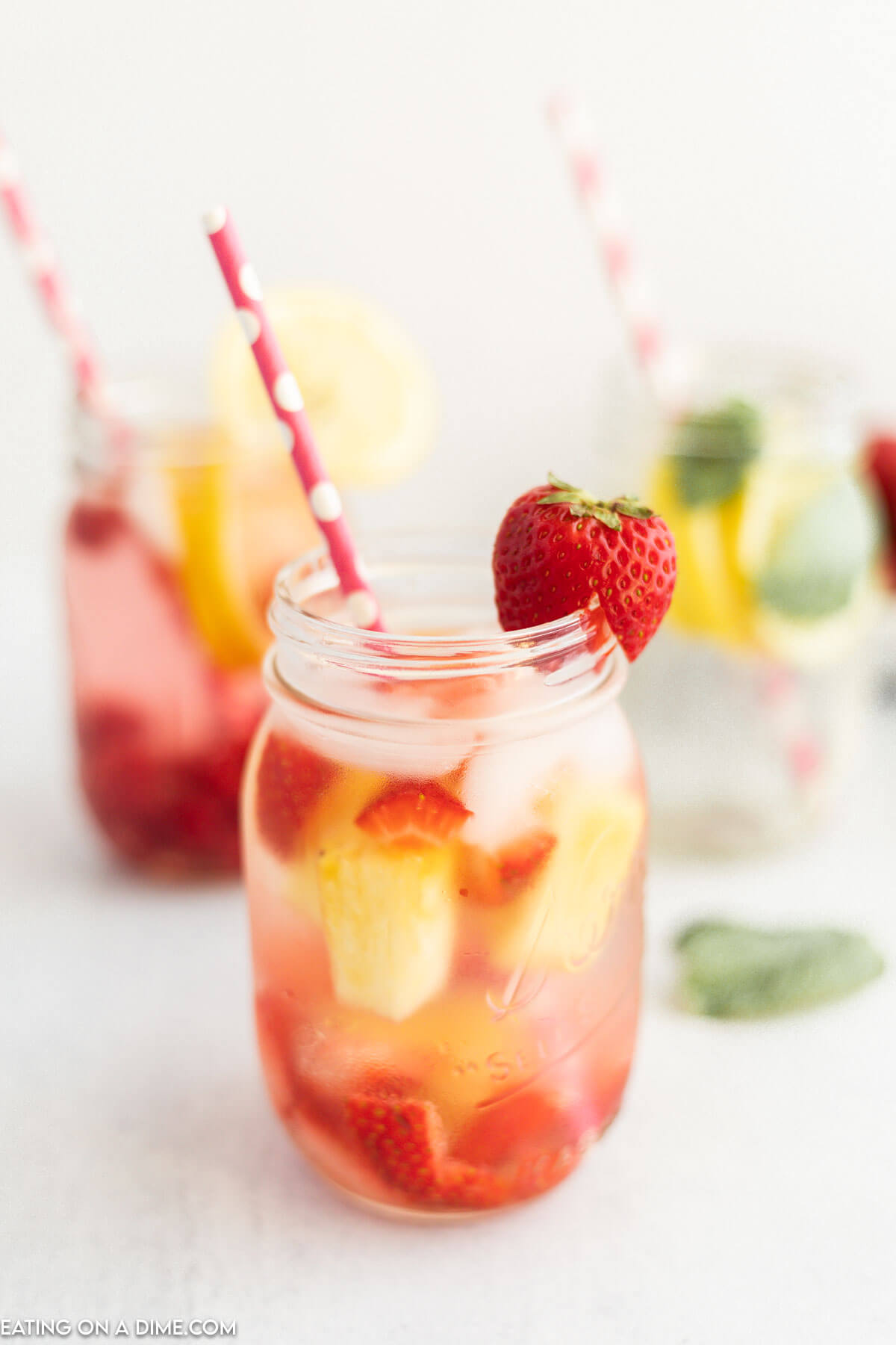 Shake things up with the MultiShaker + these fruit infused water combo, Fruit Infused Water