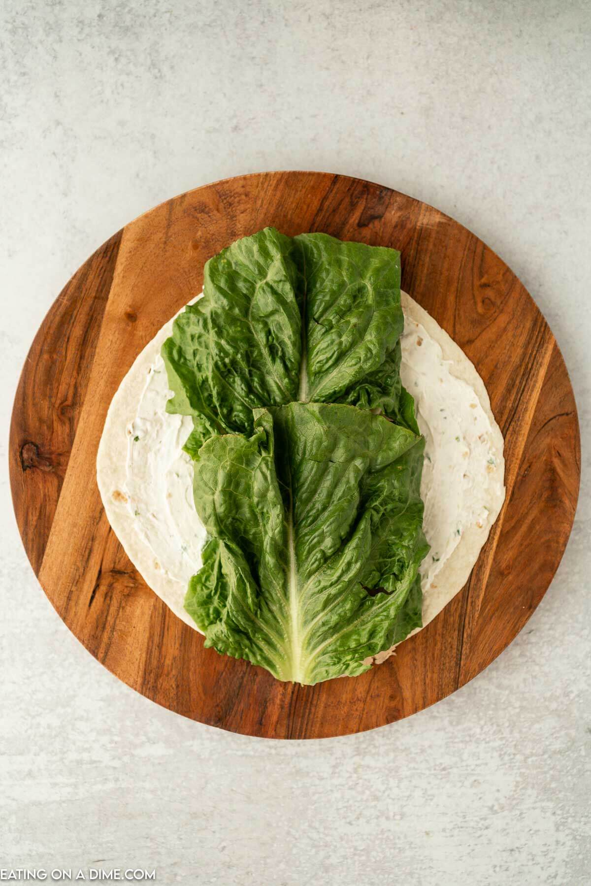 Large lettuce leave on a tortilla on a platter