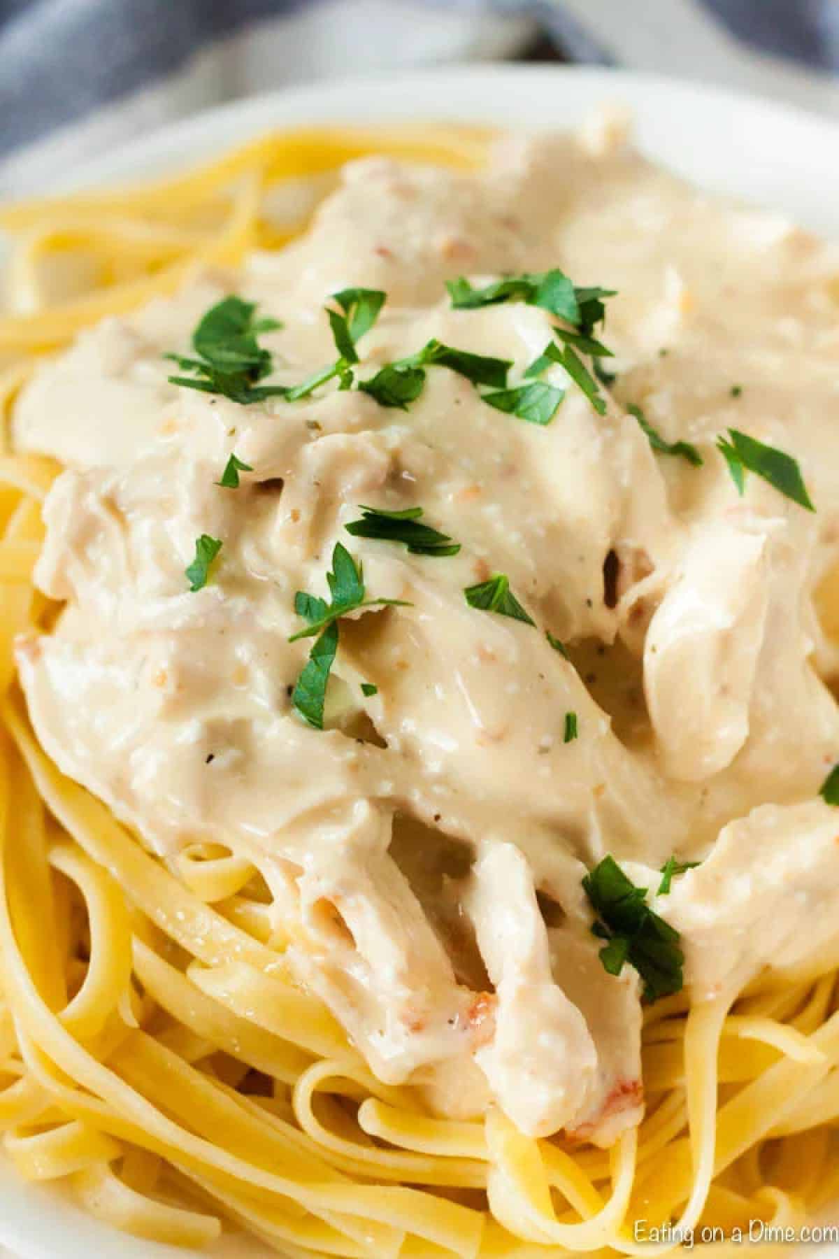 Chicken Alfredo on a plate