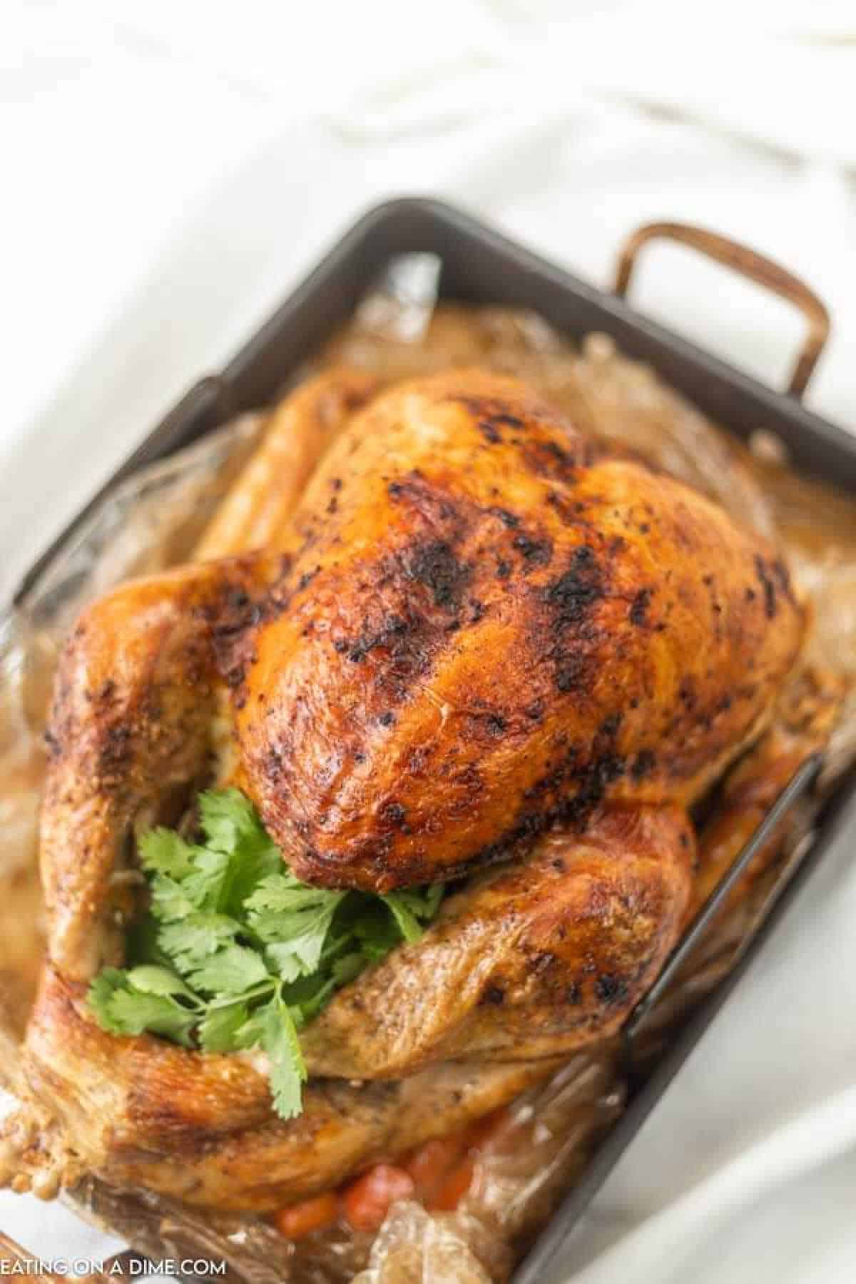 A roasted whole chicken, golden brown with crispy skin, sits in a baking dish. It's garnished with fresh cilantro and surrounded by roasted vegetables—just like learning how to cook a turkey in a bag for added juiciness and flavor.