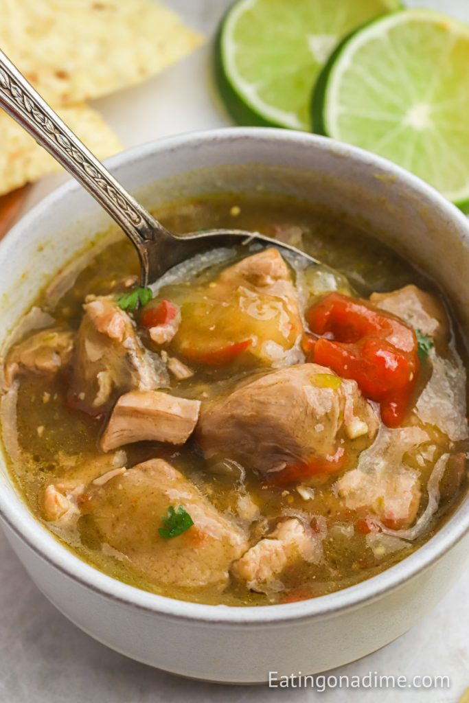 Crock Pot Chile Verde Recipe Eating on a Dime