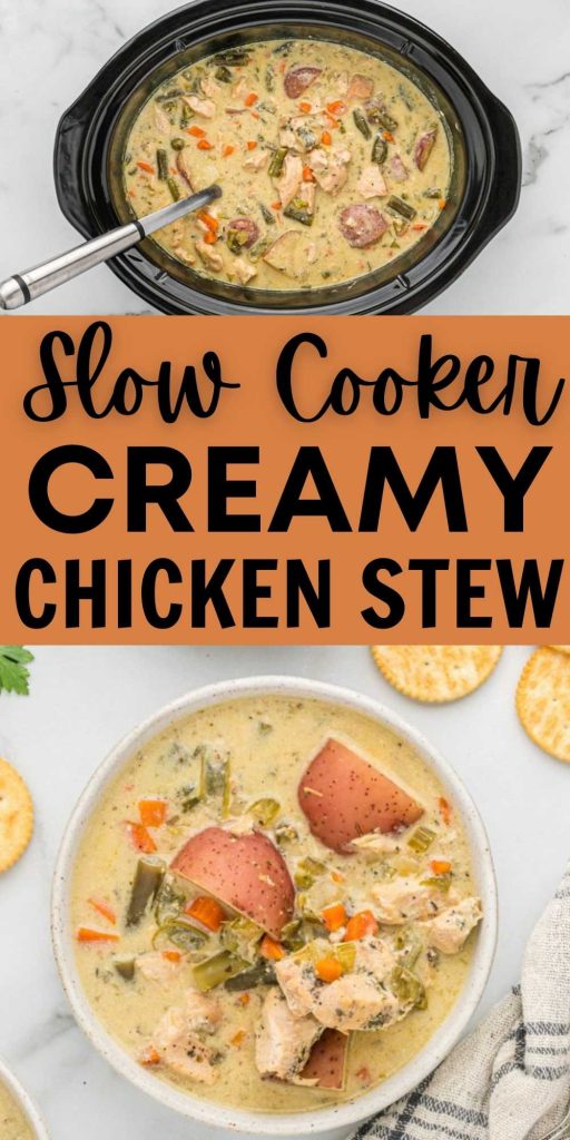Slow Cooker Creamy Chicken Stew Recipe - Chicken Stew Recipe