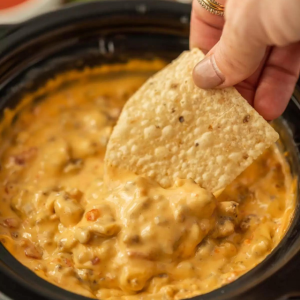 Crock pot Sausage Cheese Dip