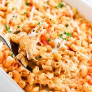 A close-up of a spoonful of creamy Buffalo Chicken Mac and Cheese, featuring elbow pasta, shredded chicken, and a drizzle of sauce. Garnished with chopped parsley, this indulgent dish sits invitingly in a white casserole dish.