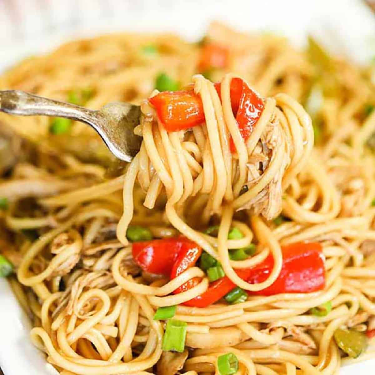 Chicken Lo Mein on a plate with a bite on a fork