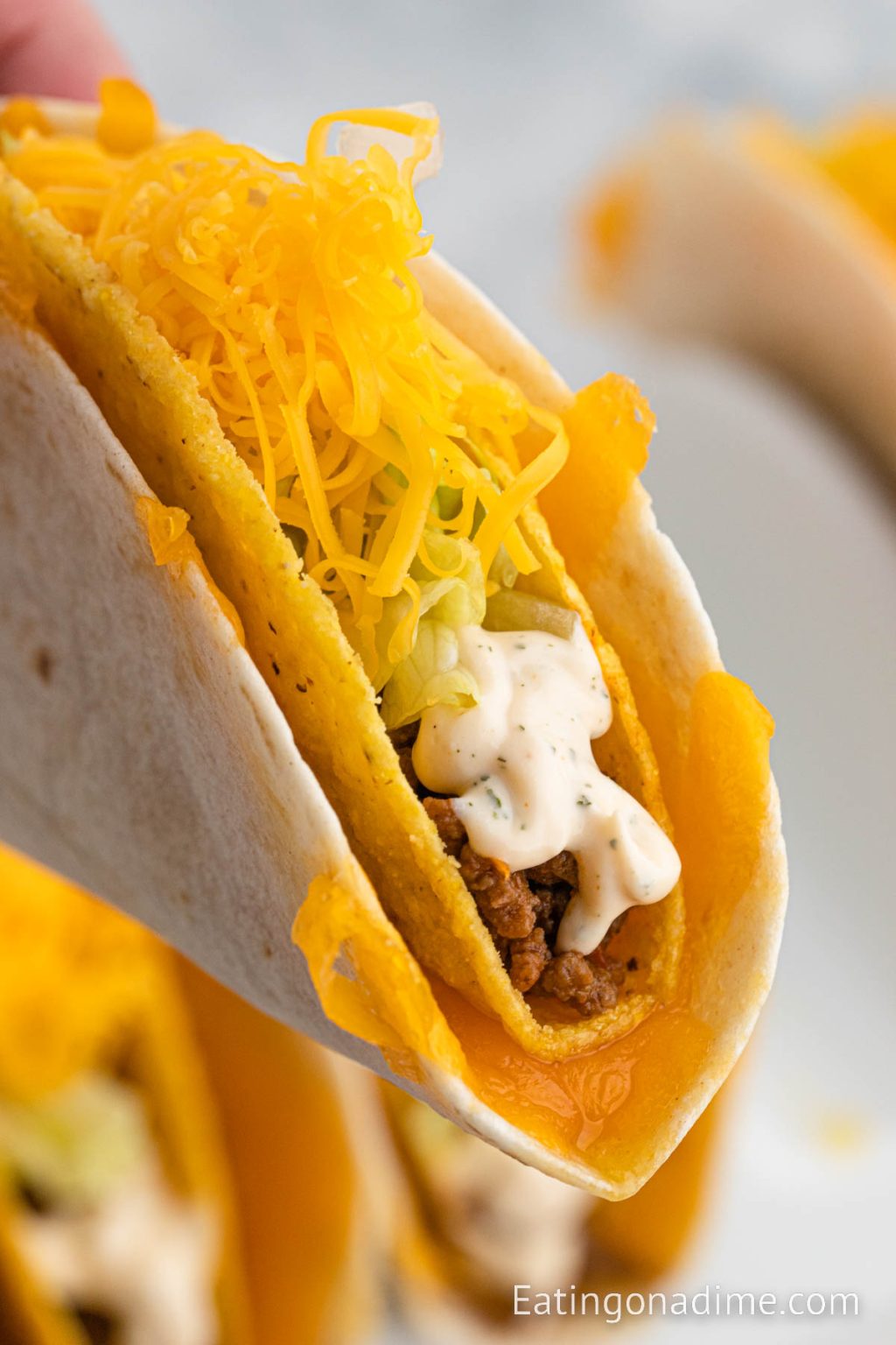 taco-bell-cheesy-gordita-crunch-recipe-eating-on-a-dime