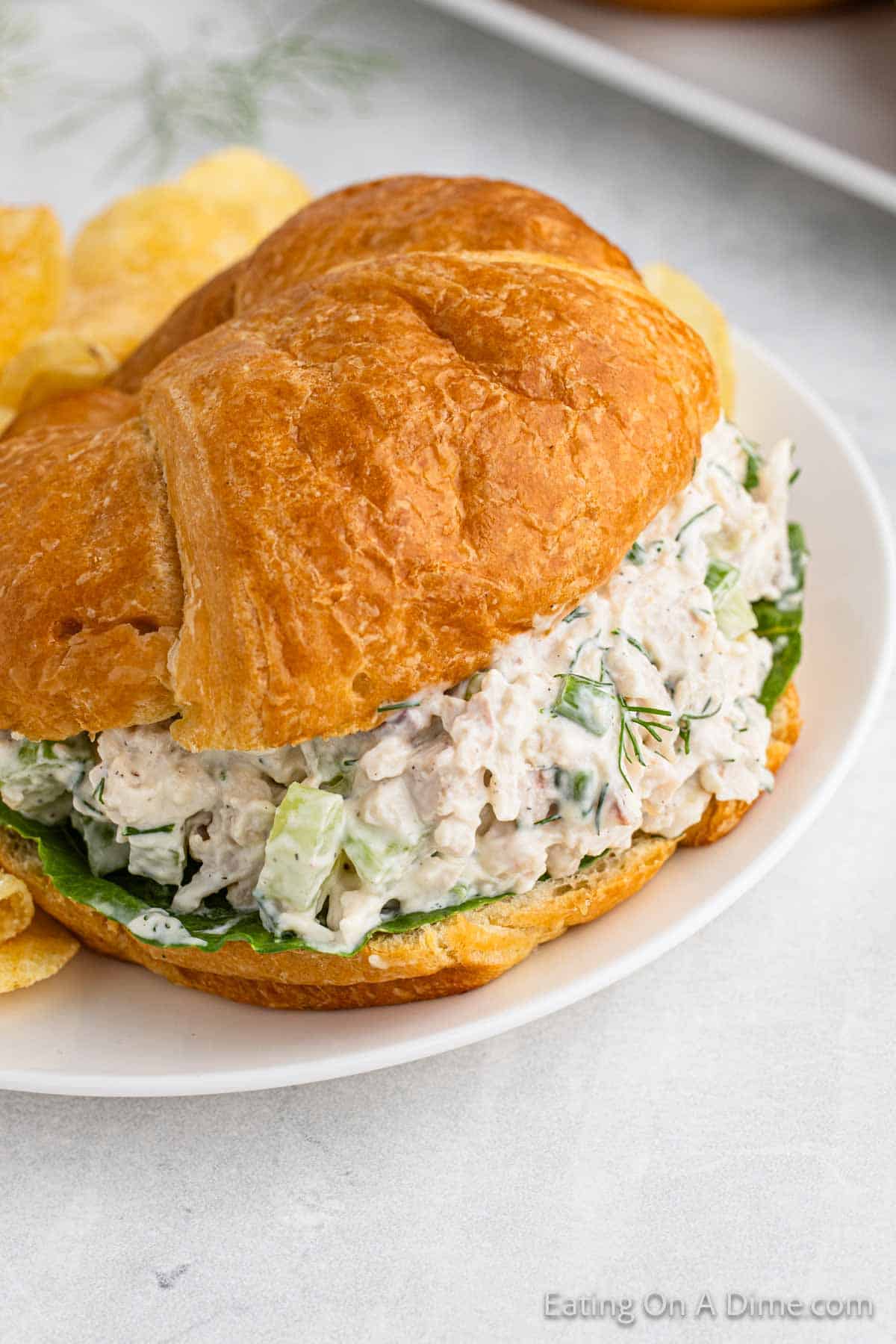 A croissant filled with the best chicken salad recipe, featuring creamy chicken, celery, and fresh herbs, placed on a white plate next to a handful of potato chips. The sandwich and chips are presented on a light gray surface.