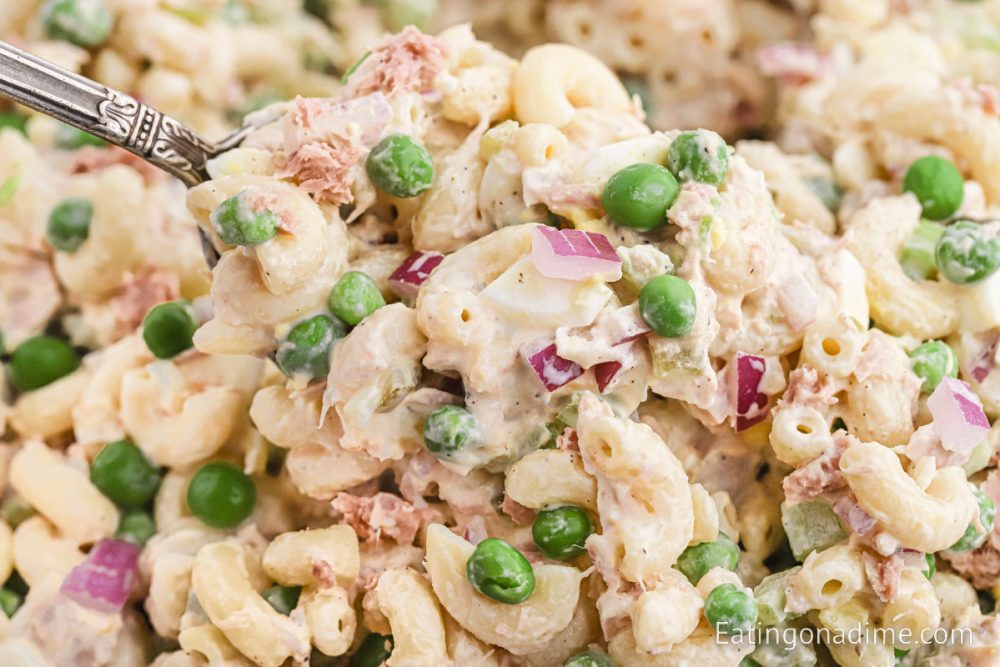 Tuna Macaroni Salad Recipe - Eating on a Dime