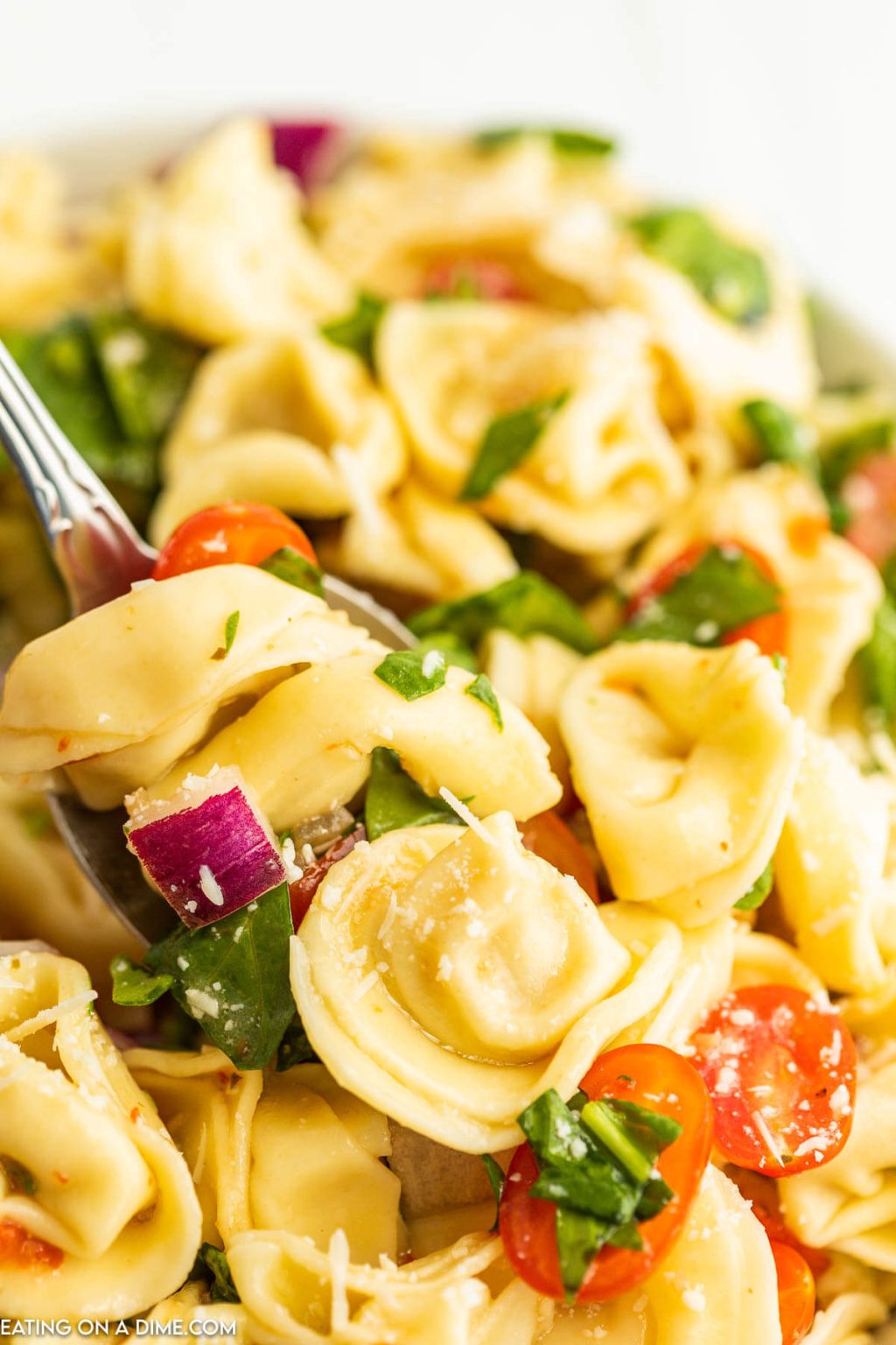 Tortellini Pasta Salad Recipe