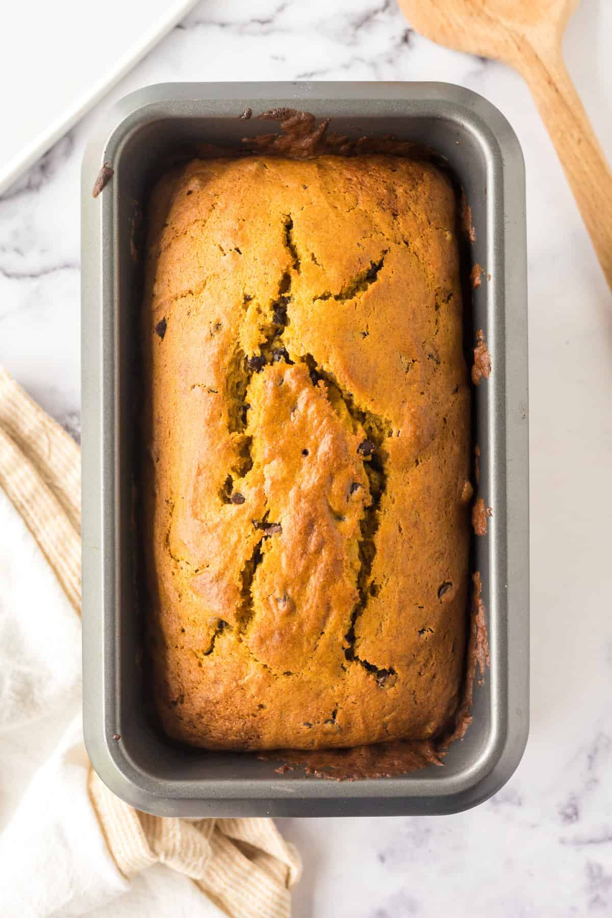 Baked pumpkin chocolate chip bread in a loaf pan