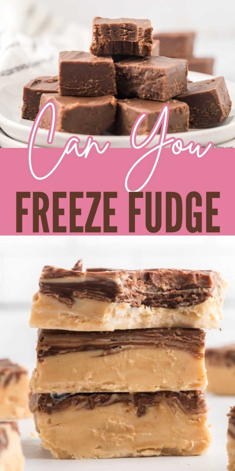 Can you Freeze Fudge - Eating on a Dime