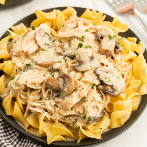 Slow Cooker Chicken Stroganoff