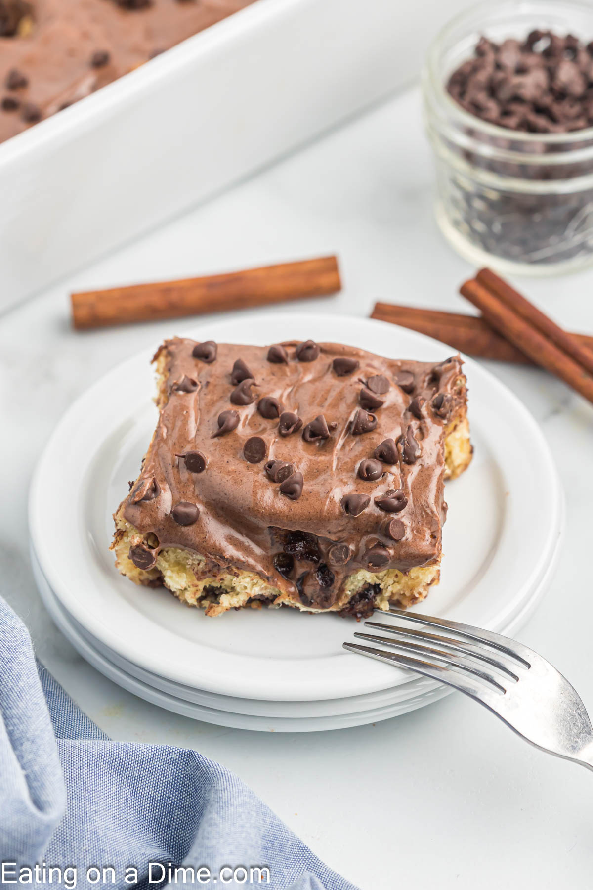 A chocolate chip cinnamon roll on a plate