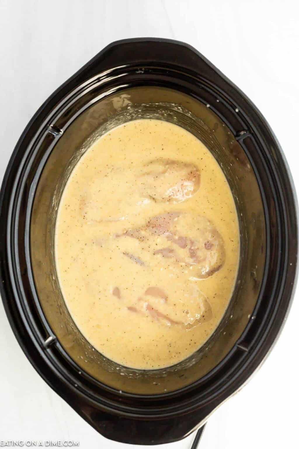 Crock Pot Chicken and Gravy Recipe