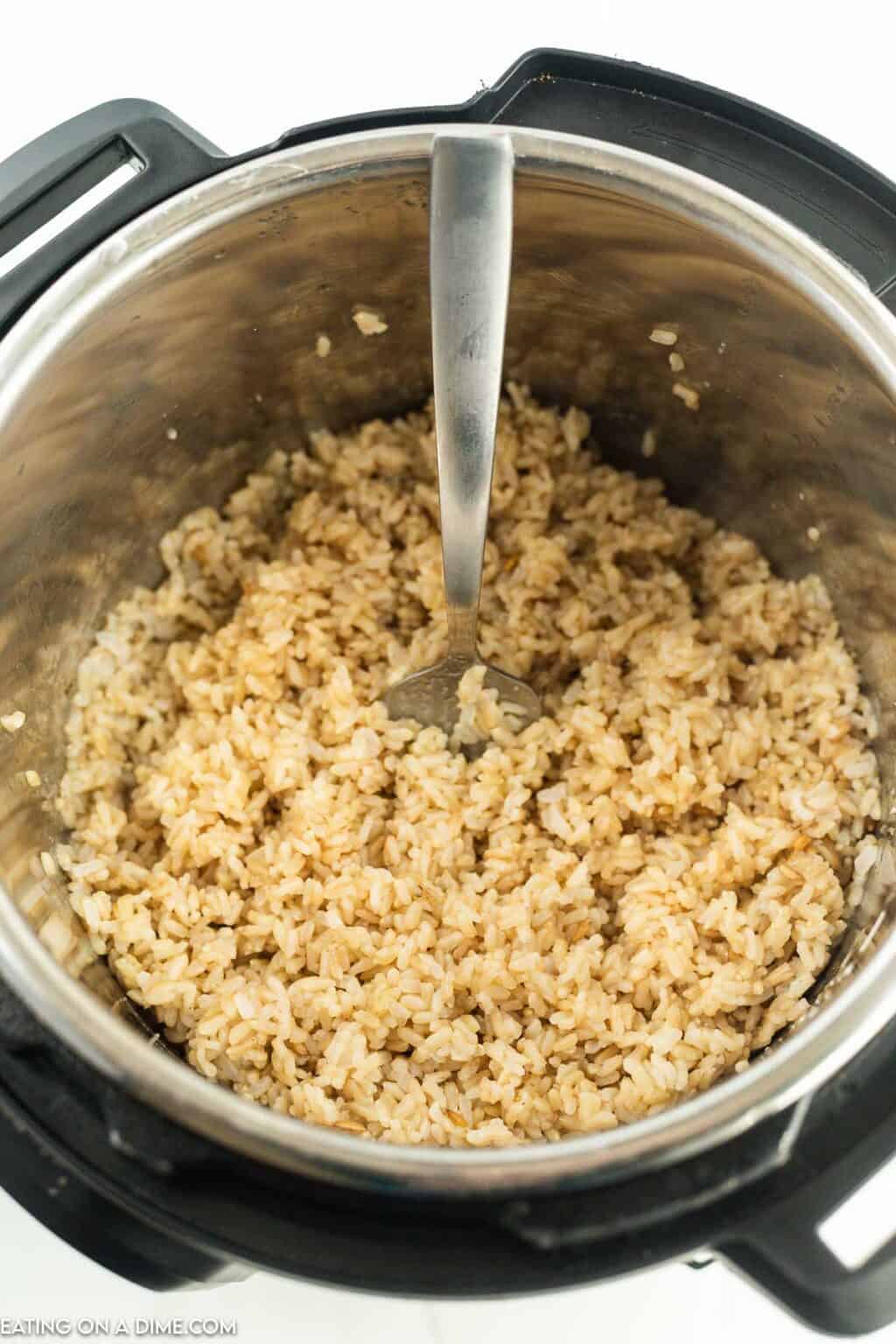 Instant Pot Brown Rice