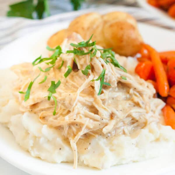 37 Kid Friendly Slow Cooker Recipes - Eating on a Dime