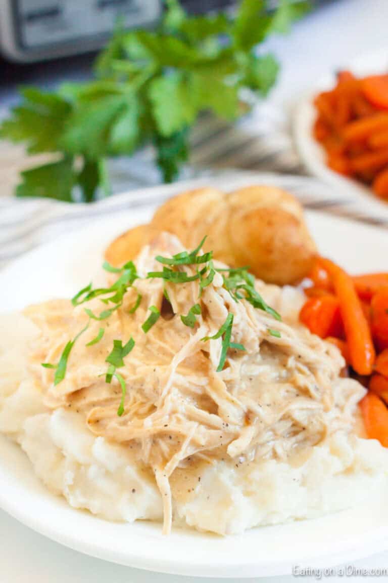 Crock Pot Chicken and Gravy Recipe