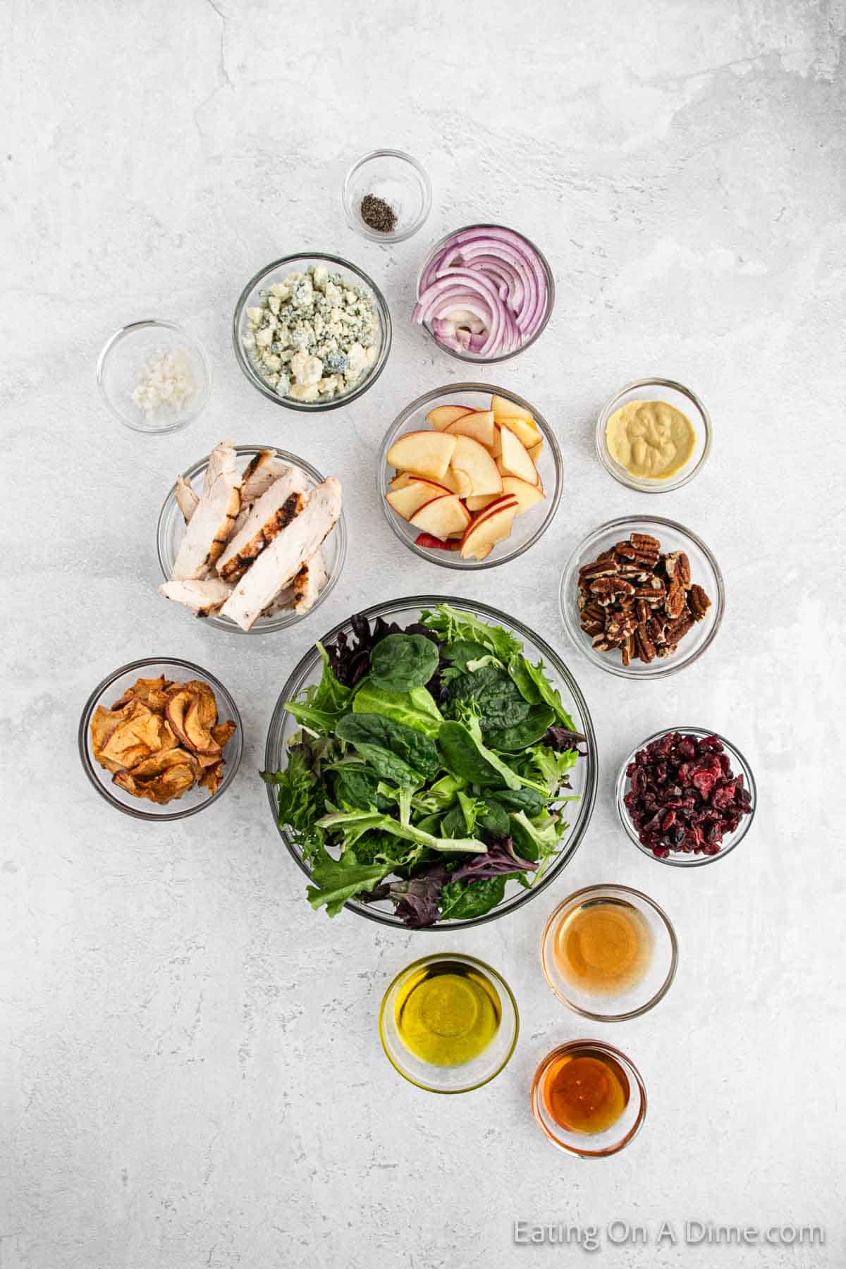 Ingredients - mixed salad greens, Fuji apples, red onion, dried cranberries, gorgonzola cheese crumbles, pecans, apple chips, grilled chicken, apple cider vinegar, olive oil, honey, Dijon mustard, shallot, salt, pepper