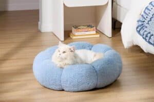 A fluffy white cat is lounging on a soft, round blue pet bed placed on a wooden floor, an ideal scene for those considering unique Mother’s Day gifts. Nearby are a stack of books and part of a bed with a knitted blue blanket.