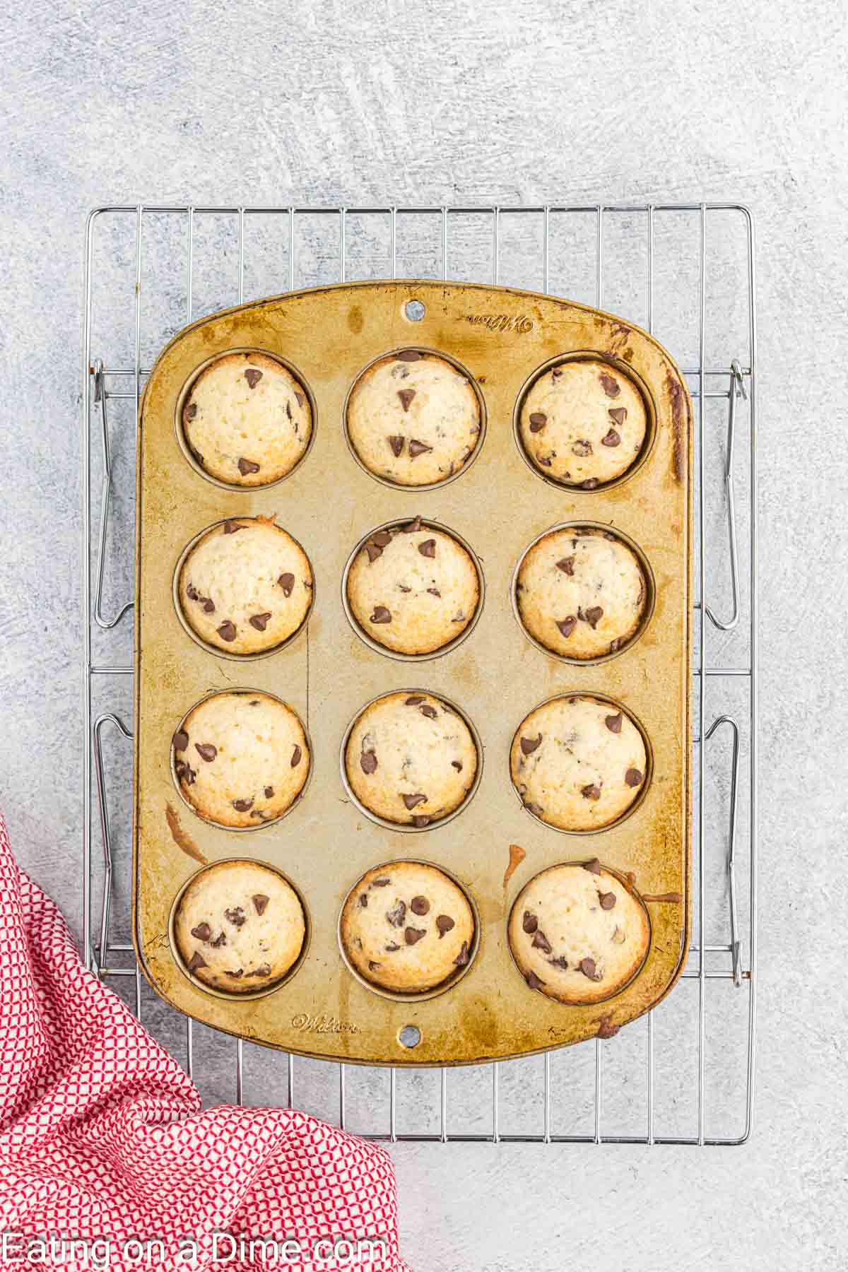 Baked chocolate chip muffins in the muffin pan