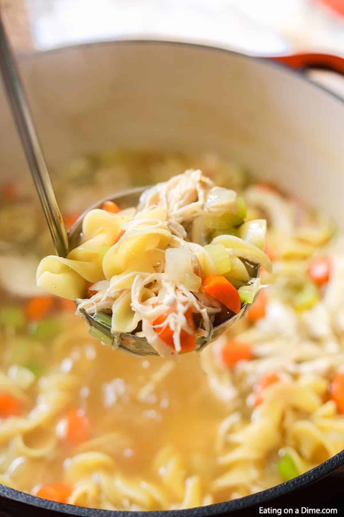 Chicken noodle soup in a large pot with a serving on a ladle