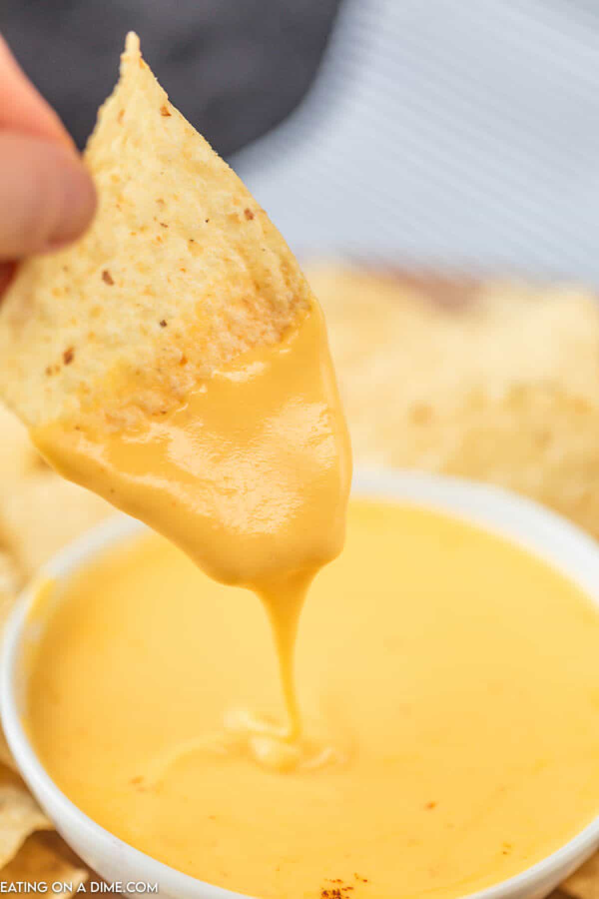 tortilla chip dipped in cheese
