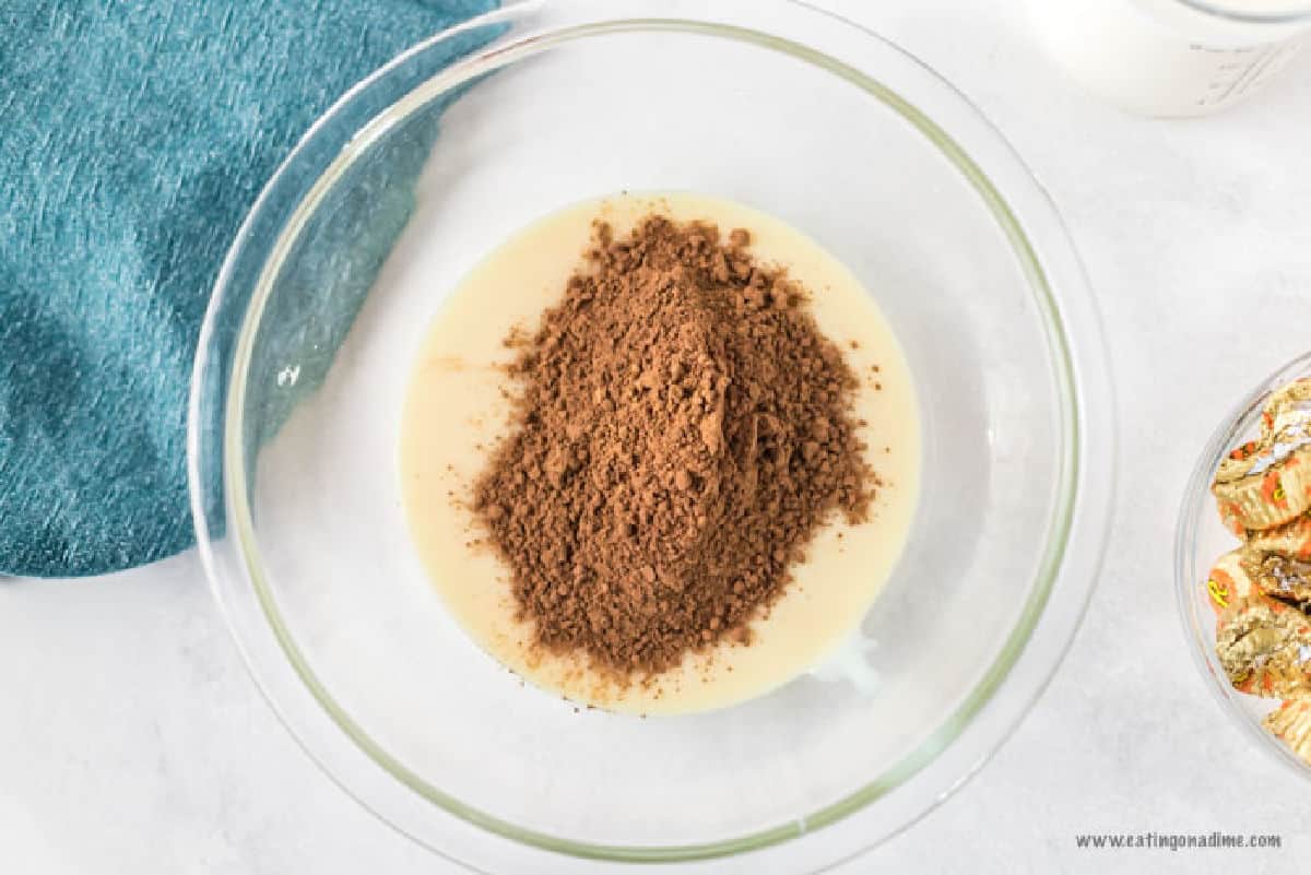 Sweetened condensed milk topped with cocoa powder in a bowl
