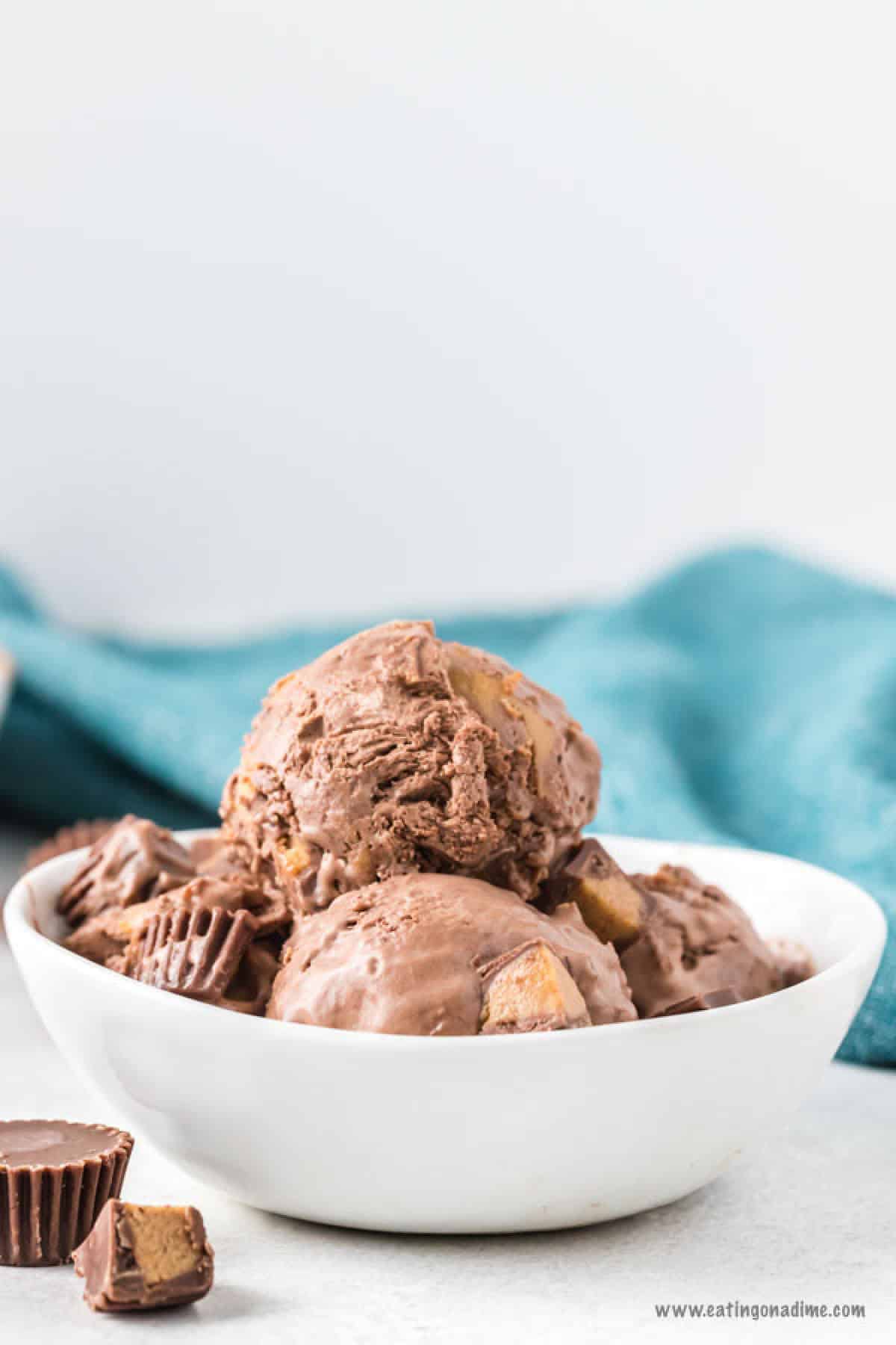Chocolate peanut butter ice cream in a bowl