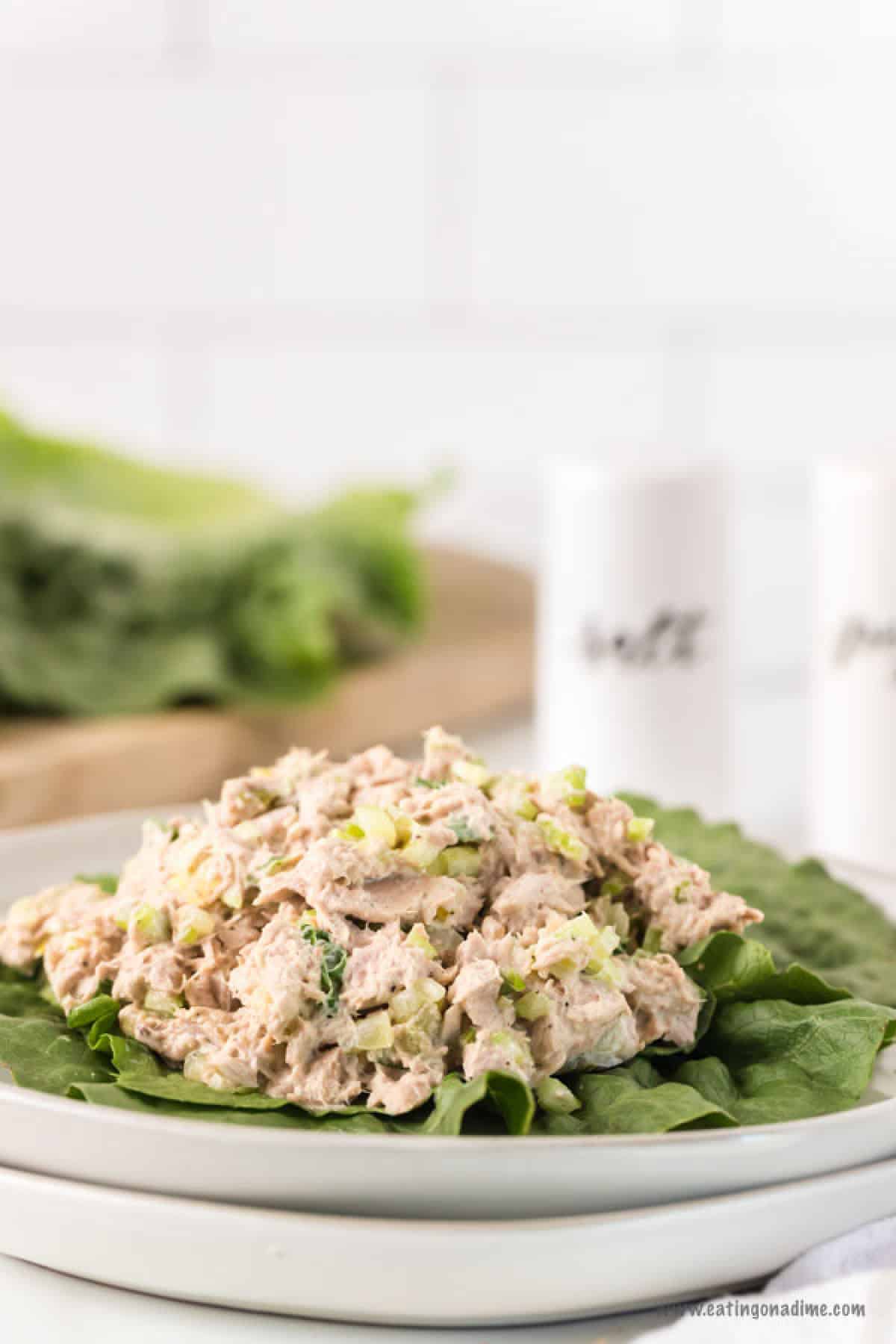 Delicious meals like this Keto Tuna Salad Recipe really make it so easy to stay on a keto diet. Keto tuna salad low carb recipe is perfect for a quick meal. Keto tuna salad lunch ideas are budget friendly and so tasty! Try keto tuna salad recipes low carb. #eatingonadime #ketotunasaladrecipe