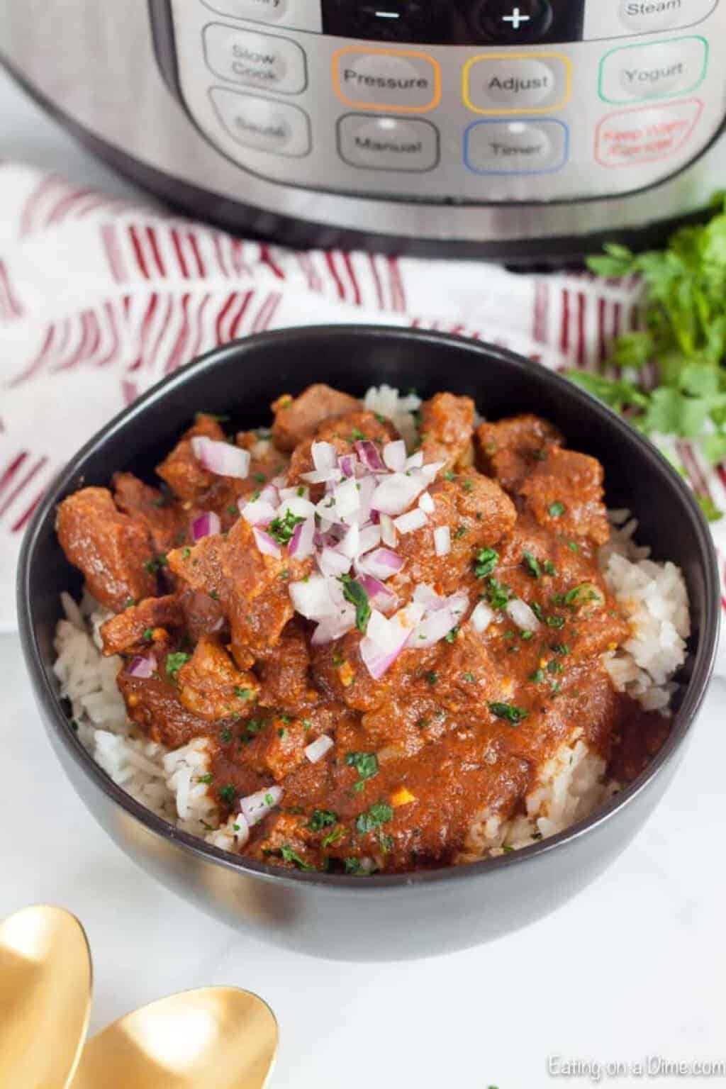 Instant Pot Beef Curry Recipe - Ready in 25 minutes!