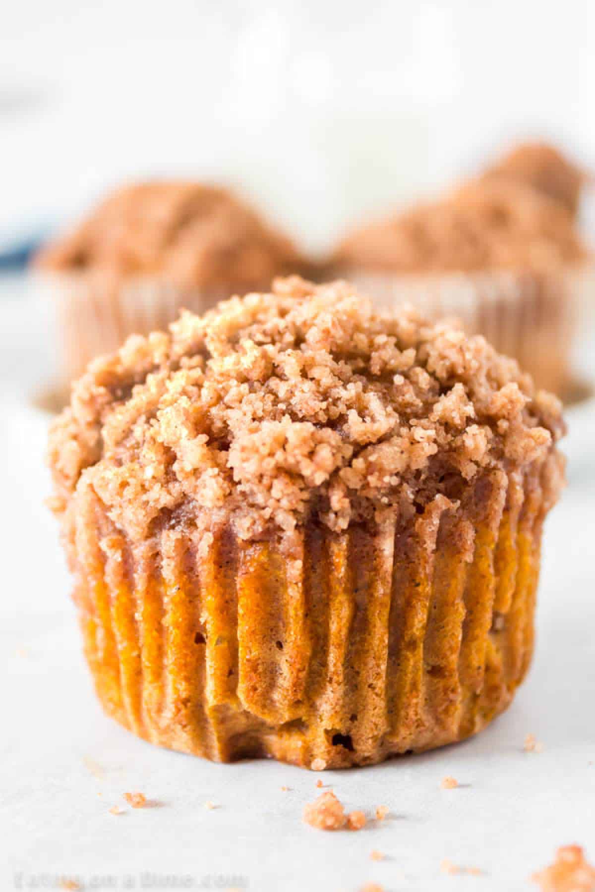 Are you ready for a delicious Pumpkin Muffin Recipe with cinnamon streusel? These pumpkin muffins are moist and delicious! 