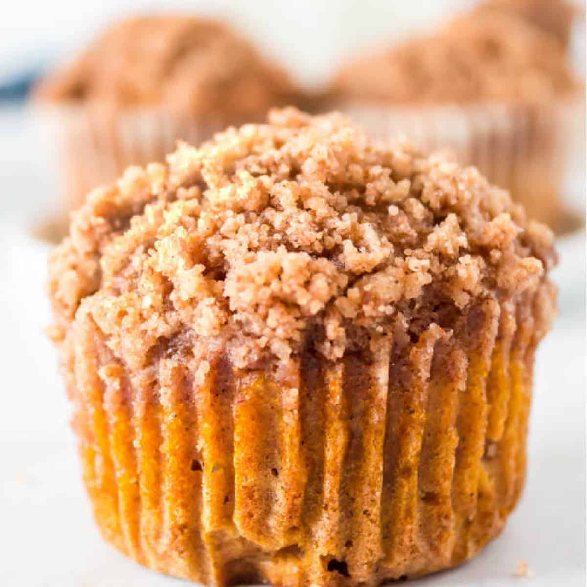 Are you ready for a delicious Pumpkin Muffin Recipe with cinnamon streusel? These pumpkin muffins are moist and delicious! 