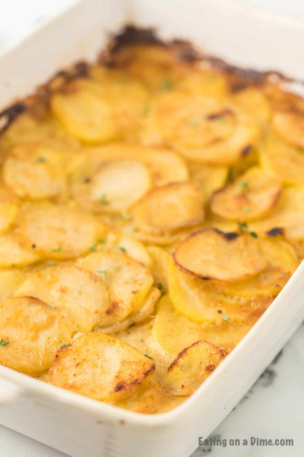 Cheesy scalloped potatoes baked golden brown ready to serve in a casserole dish