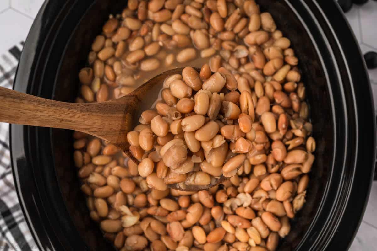 How to Cook Dry Beans in a Crock Pot Eating on a Dime