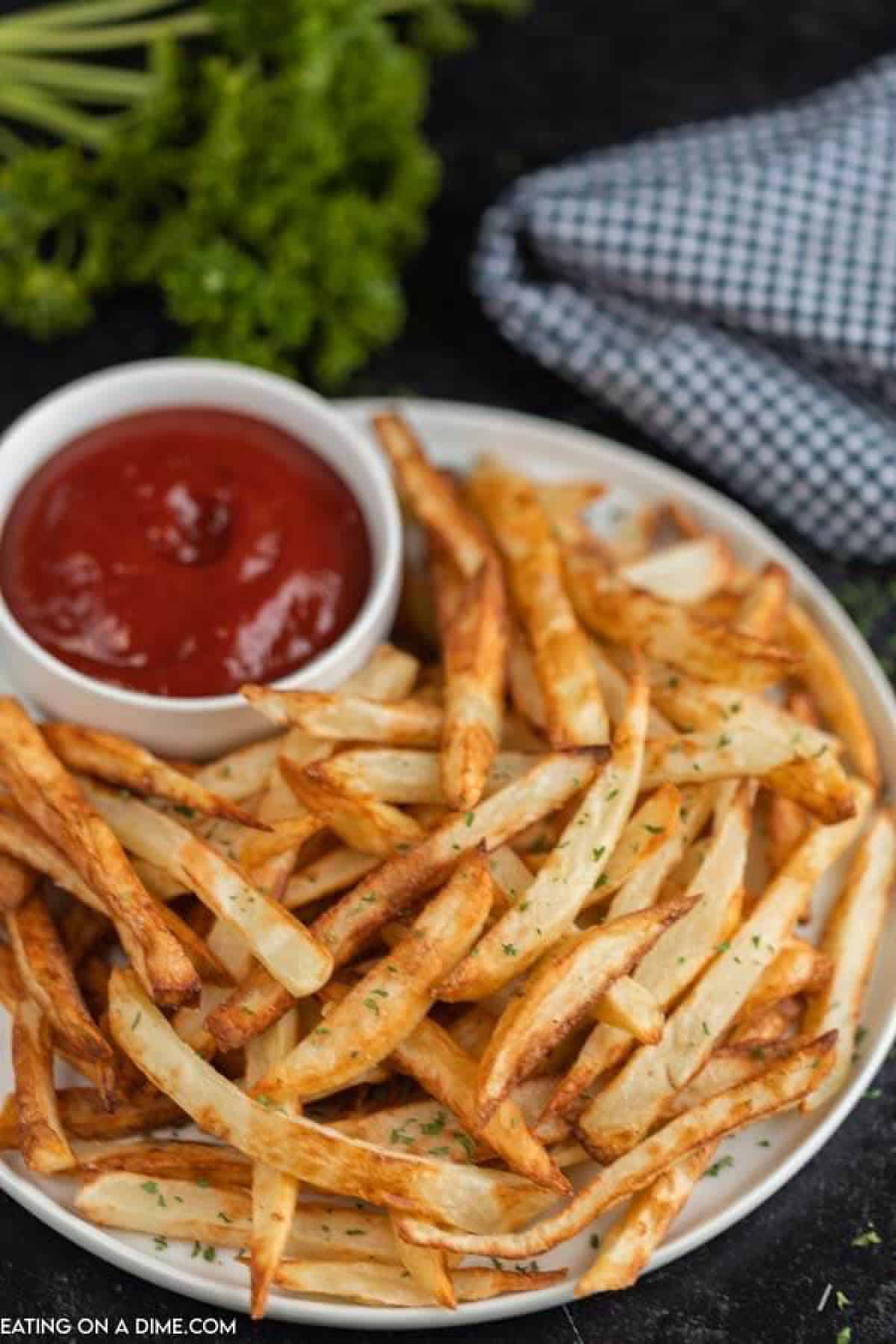 Plate of French fries with ketchup.