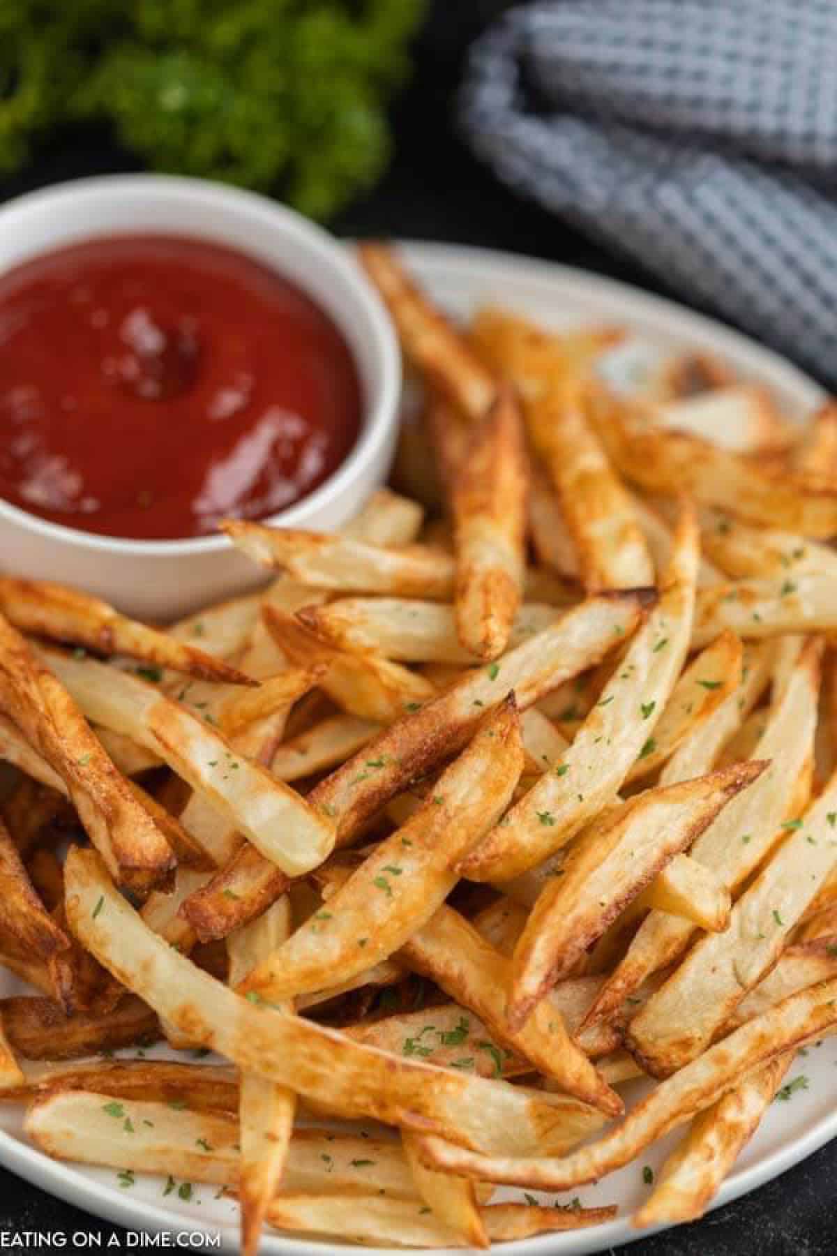 Plate of French fries with ketchup.