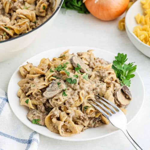 A plate of creamy beef stroganoff with egg noodles, mushrooms, and parsley garnished on top—reminiscent of a homemade Hamburger Helper. A fork is resting on the plate. In the background, there are uncooked egg noodles, a whole onion, and a small bunch of parsley.